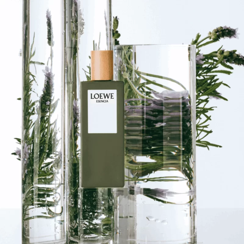 Loewe Esencia Pour Homme EDT gia tot