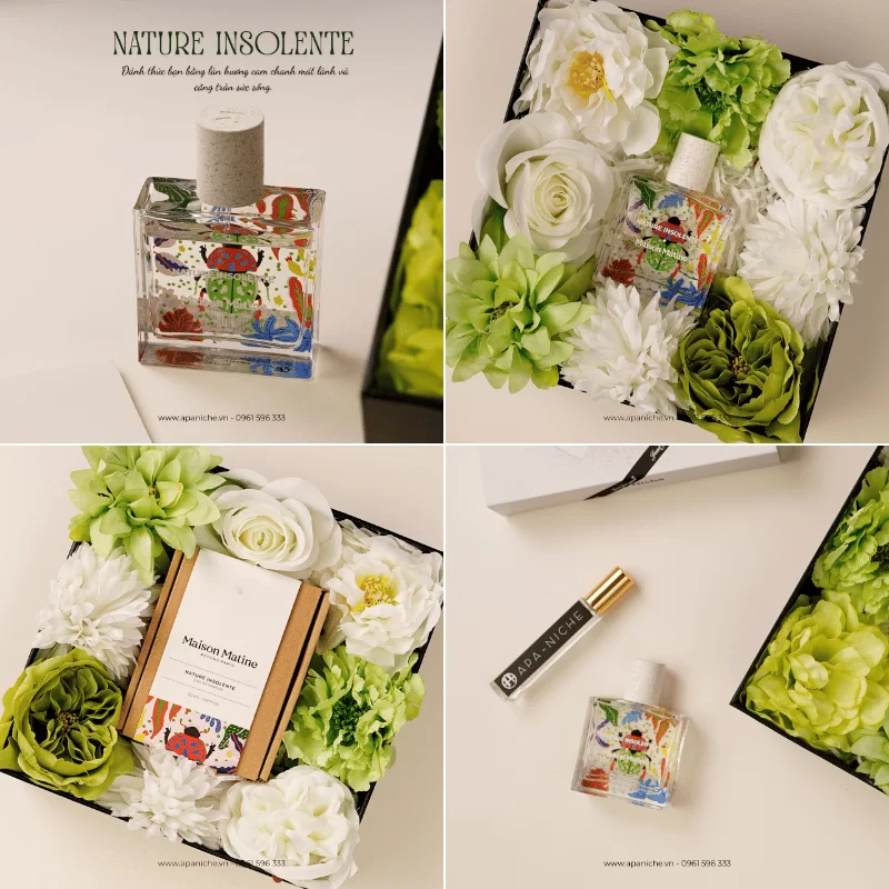 Thiết Kế Maison Matine Nature Insolente