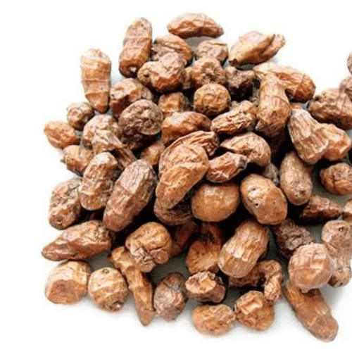 Củ Gấu Ấn Độ Củ Gấu Ấn Độ