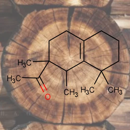 Georgywood Georgywood