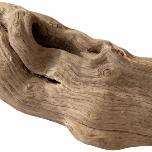 Gỗ Trôi Gỗ Trôi