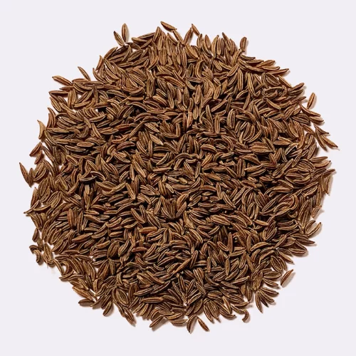 Hạt Thì Là Ba Tư Hạt Thì Là Ba Tư