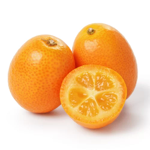 Kim Quất Kim Quất