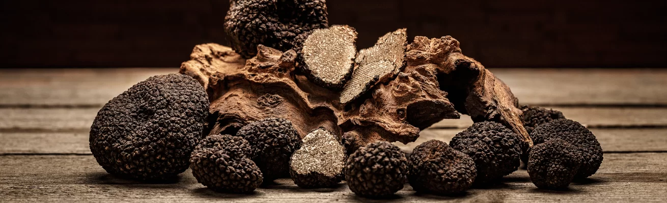 Nấm Truffle
