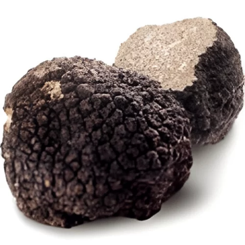 Nấm Truffle Nấm Truffle