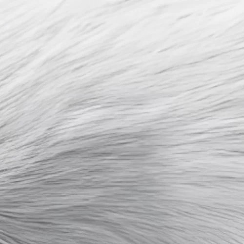 Orcanox™ Orcanox™