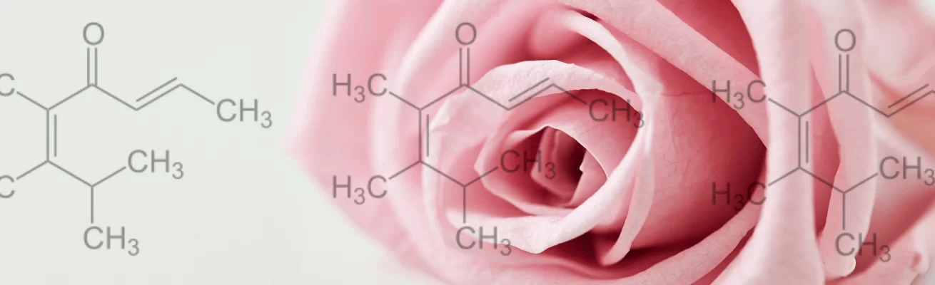Pomarose