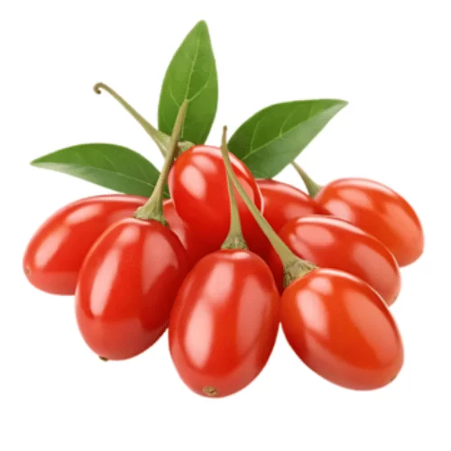 Quả Kỷ Tử Quả Kỷ Tử