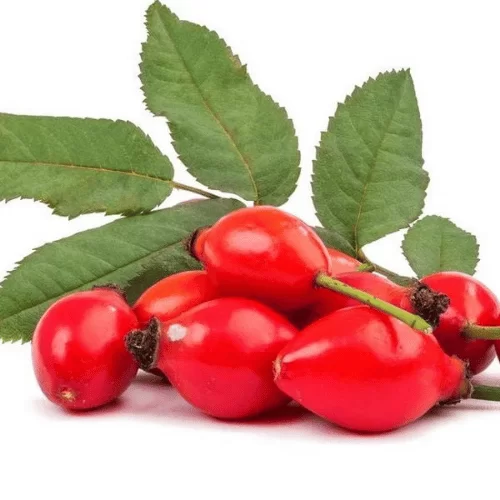 Quả Tầm Xuân Quả Tầm Xuân