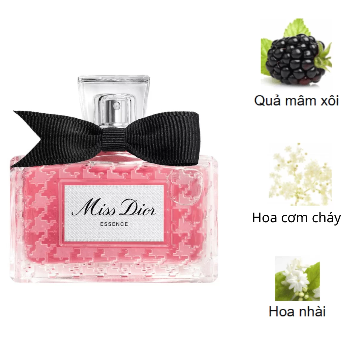 Christian-Dior-Miss-Dior-Essence-mui-huong