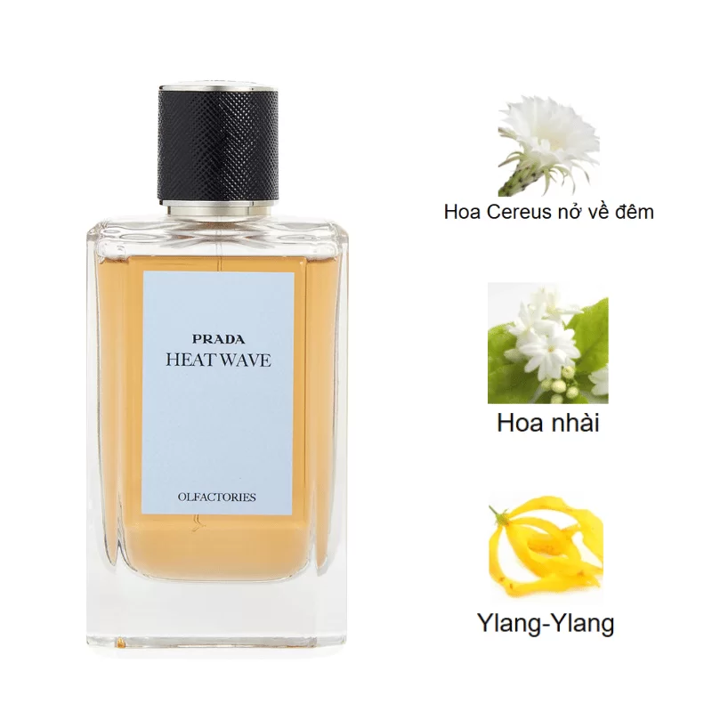 Prada Olfactories Heat Wave EDP mùi hương