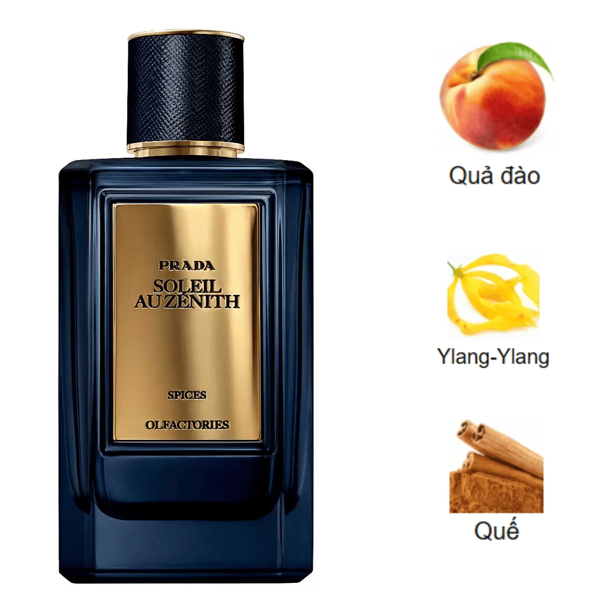 Prada-Olfactories-Mirages-Soleil-Au-Zenith-EDP-mui-huong