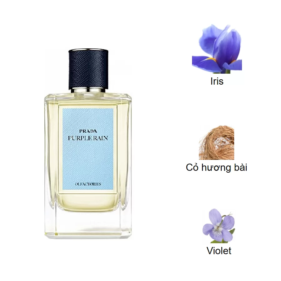 Prada Olfactories Purple Rain mui huong