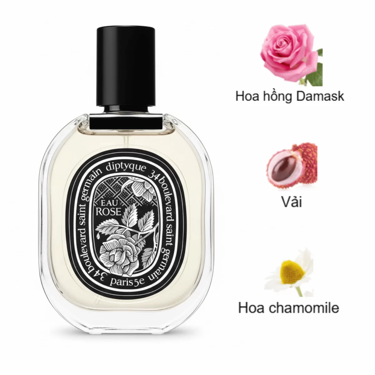 Diptyque-Eau-Rose-EDP-mui-huong