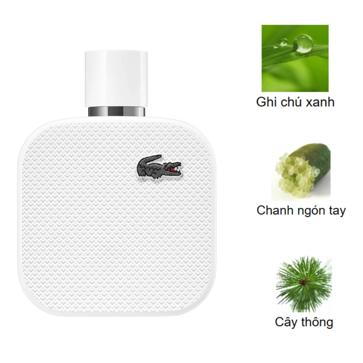 Lacoste-L.12.12-Blanc-EDP-mui-huong Lacoste-L.12.12-Blanc-EDP-mui-huong