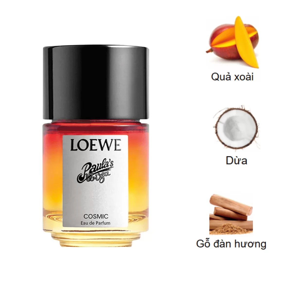 Loewe-Paulas-Ibiza-Cosmic-EDP-mui-huong