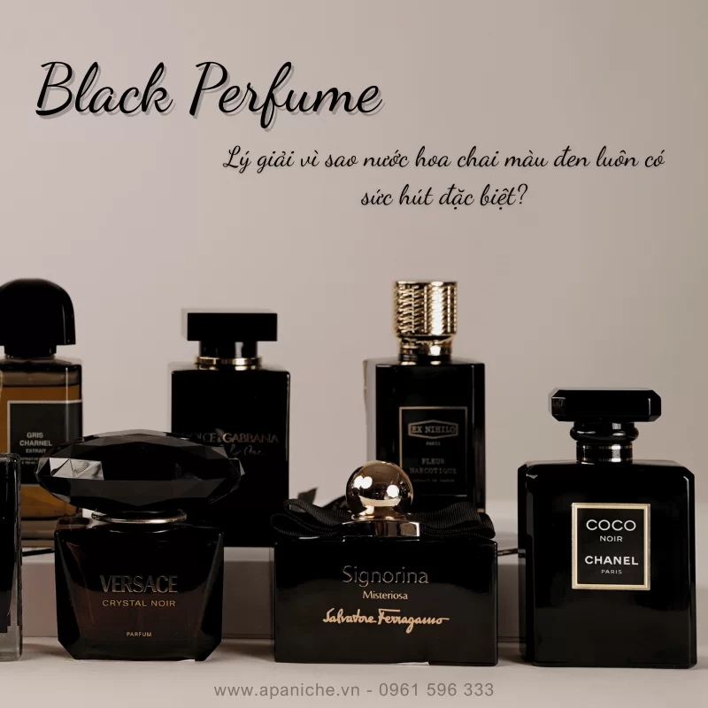 Lý giải vì sao nước hoa chai màu đen luôn có sức hút đặc biệt