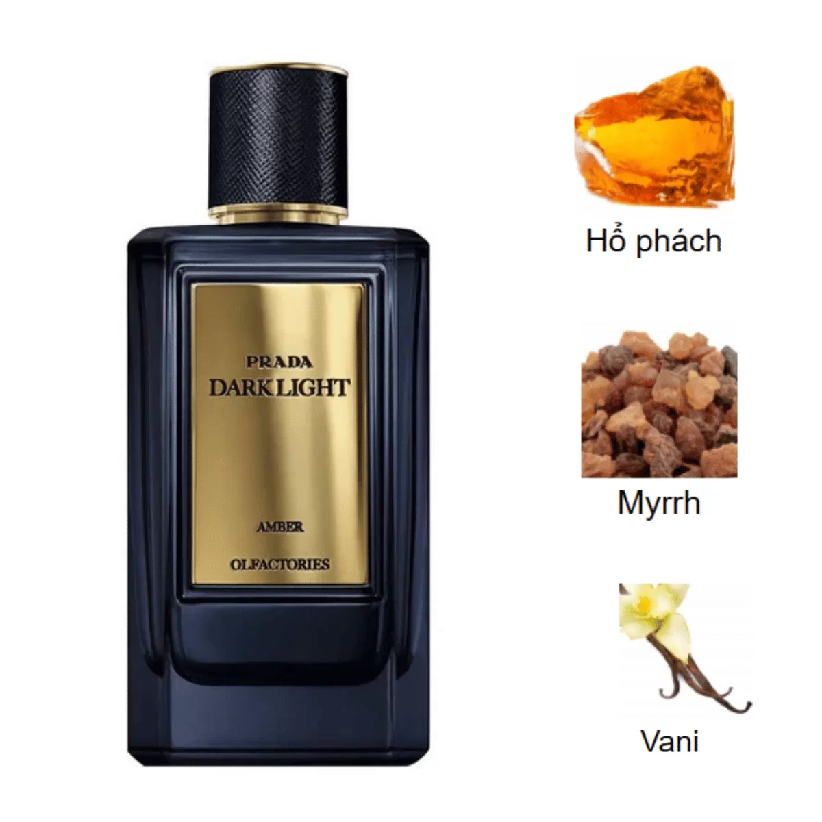 Prada-Olfactories-Mirages-Dark-Light-EDP-mui-huong Prada-Olfactories-Mirages-Dark-Light-EDP-mui-huong