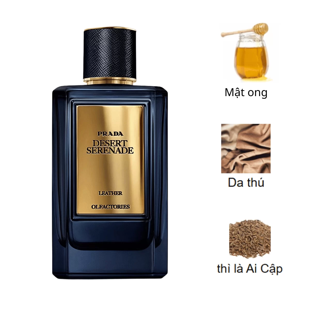 Prada-Olfactories-Mirages-Desert-Serenade-EDP-mui-huong Prada-Olfactories-Mirages-Desert-Serenade-EDP-mui-huong