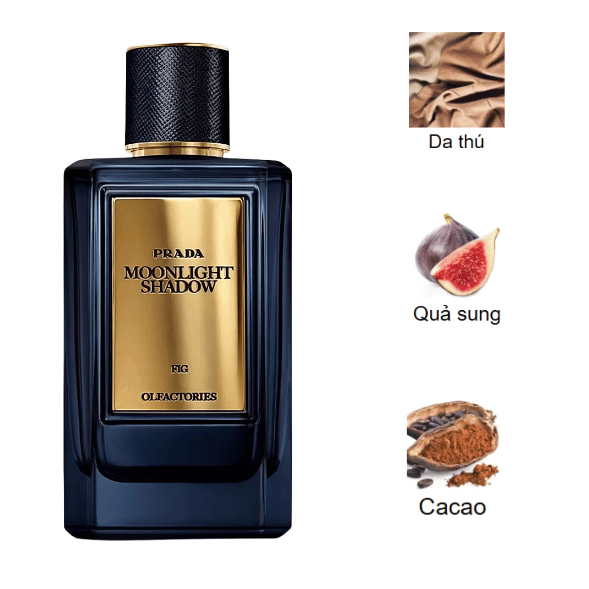 Prada-Olfactories-Mirages-Moonlight-Shadow-EDP-mui-huong
