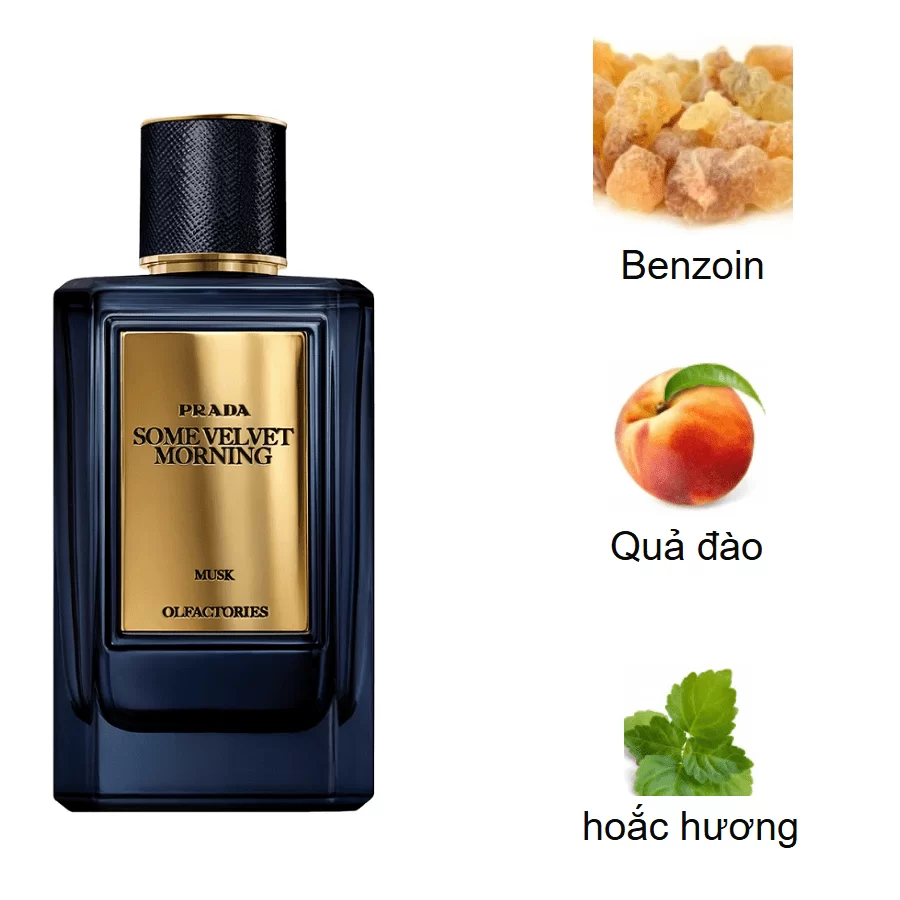 Prada Olfactories Mirages Some Velvet Morning mui huong Prada Olfactories Mirages Some Velvet Morning mui huong