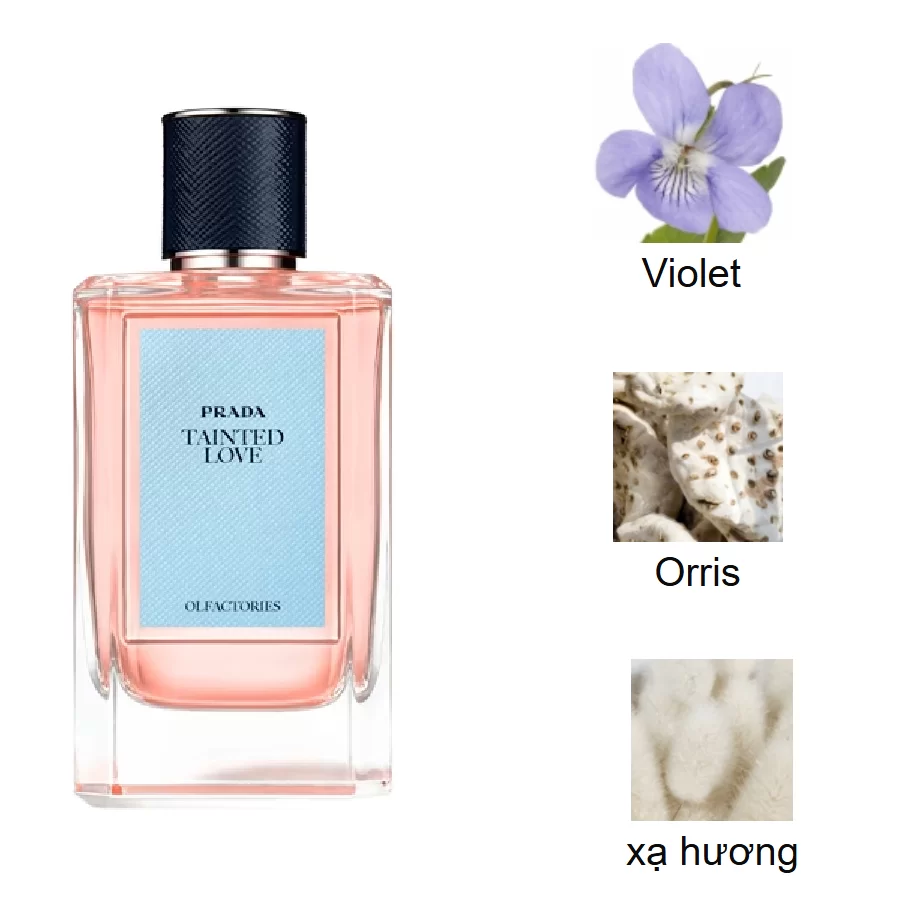 Prada Tainted Love mui huong