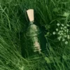 Creed Wild Vetiver EDP gia tot