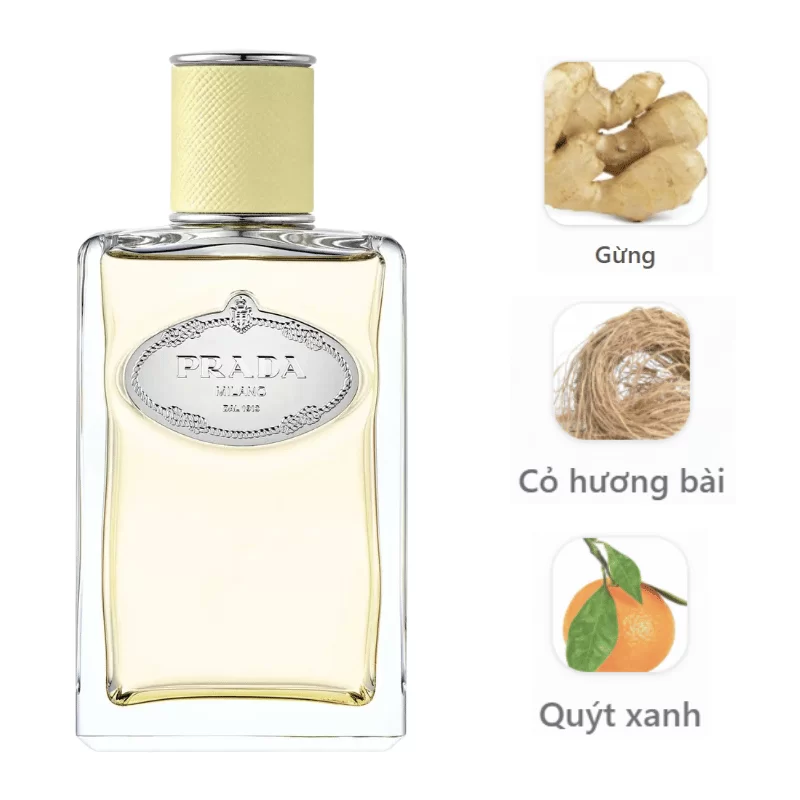 Prada Infusion de Gingembre EDP mùi hương