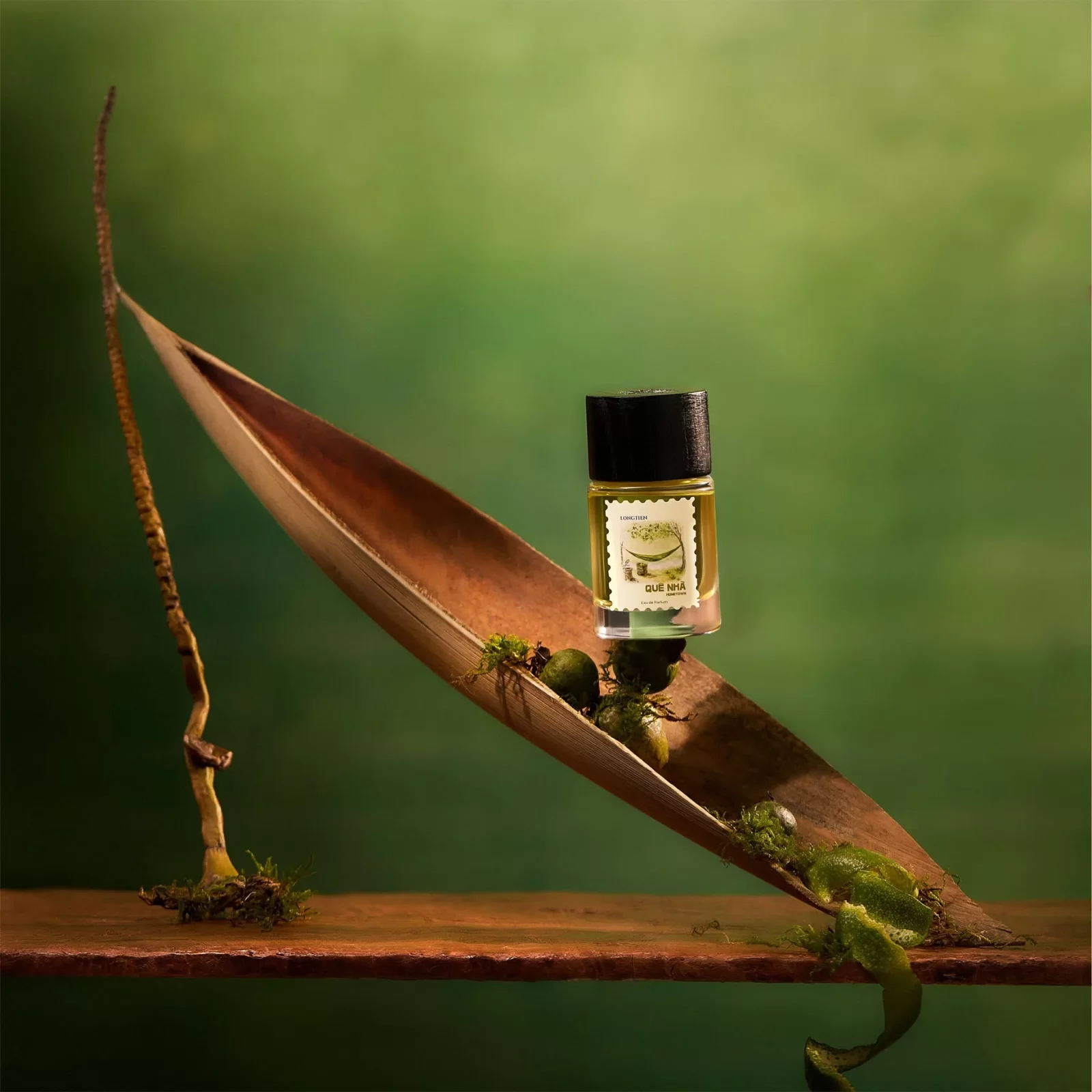 LONGTIEN Quê Nhà EDP giá tốt